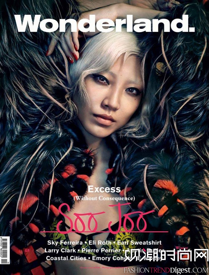 Soo Joo ParkWonderland2013DƬ