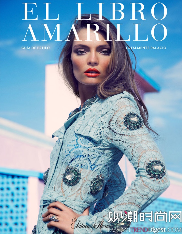 Carola RemerǡEl Libro AmarilloDƬ