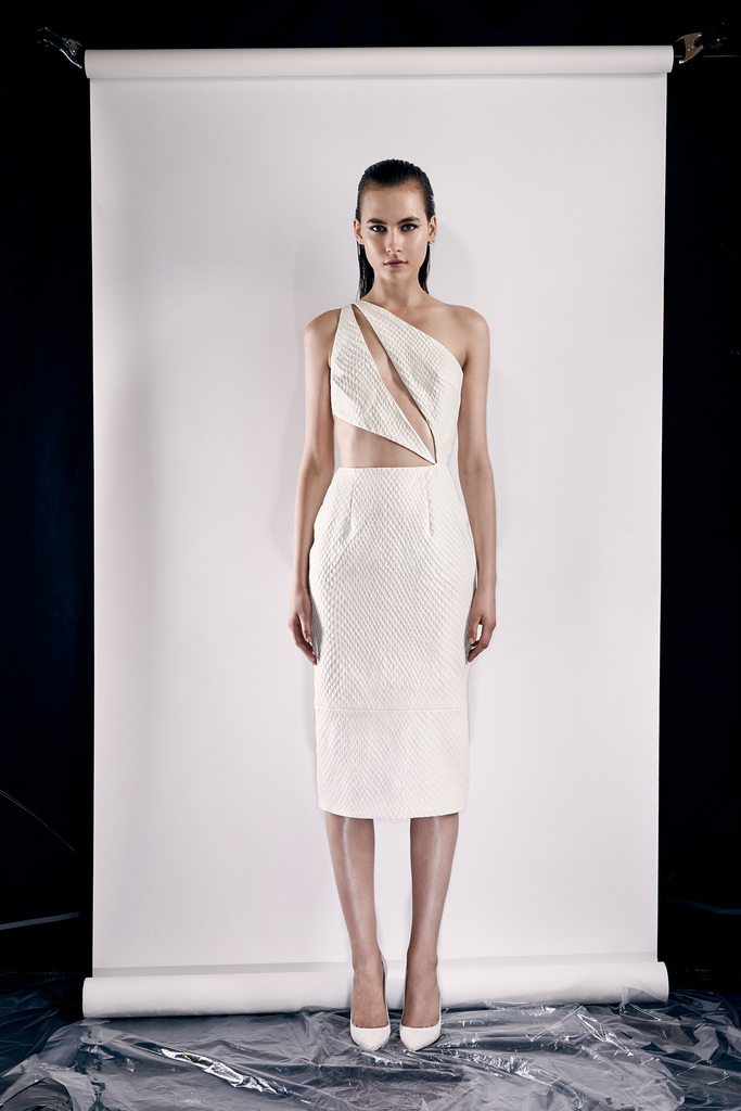 Cushnie Et Ochs RESORT 2014DƬ