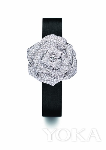 Piaget RoseϵСء