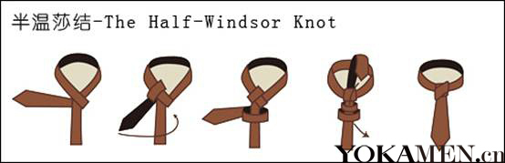 The Half-Windsor KnotɯY(ji)(ʮֽY(ji))