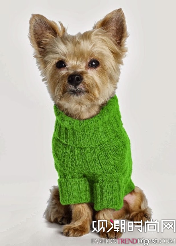 Ralph Lauren Dog 蹷ϵ 2013ﶬƪlookbookͼƬ