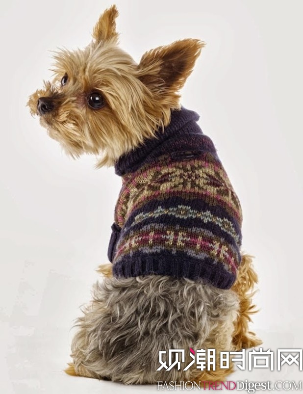 Ralph Lauren Dog 蹷ϵ 2013ﶬƪlookbookͼƬ