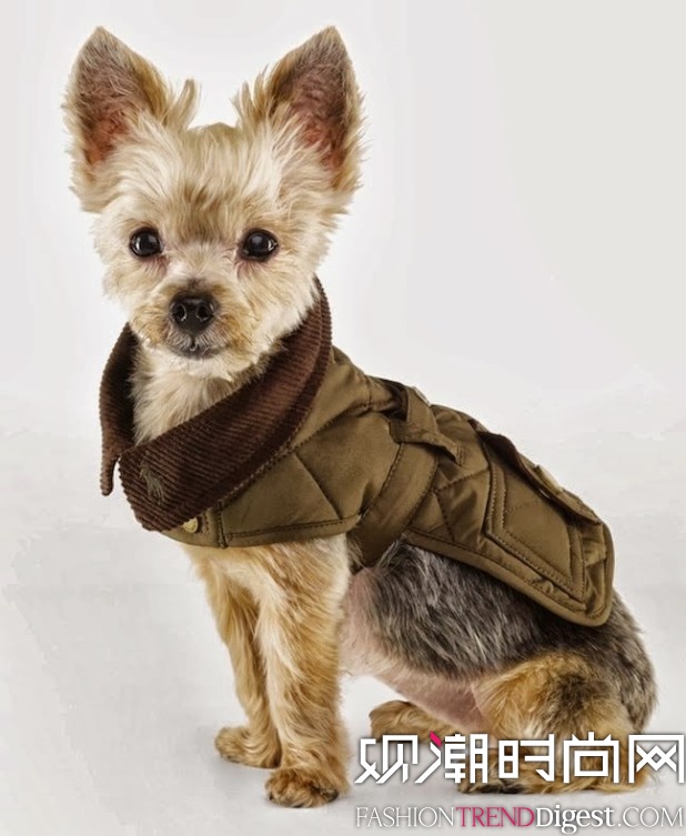 Ralph Lauren Dog 蹷ϵ 2013ﶬƪlookbookͼƬ