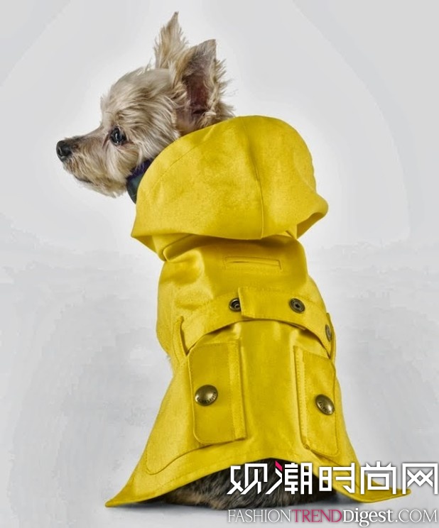 Ralph Lauren Dog 蹷ϵ 2013ﶬƪlookbookͼƬ