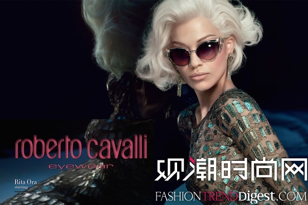 Francesco CarrozziniR Roberto Cavalli 2014ﶬVDƬ