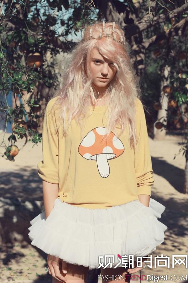 Wildfox 2015ġIndigo Pony ϵLookbookͼƬ