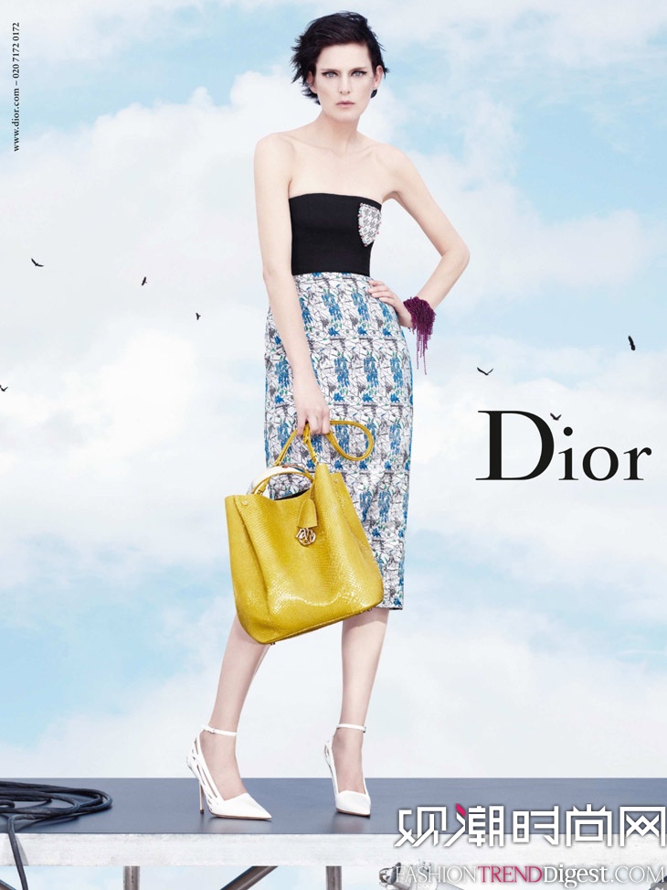 Dior 2014ďV^ʬF(xin)DƬ