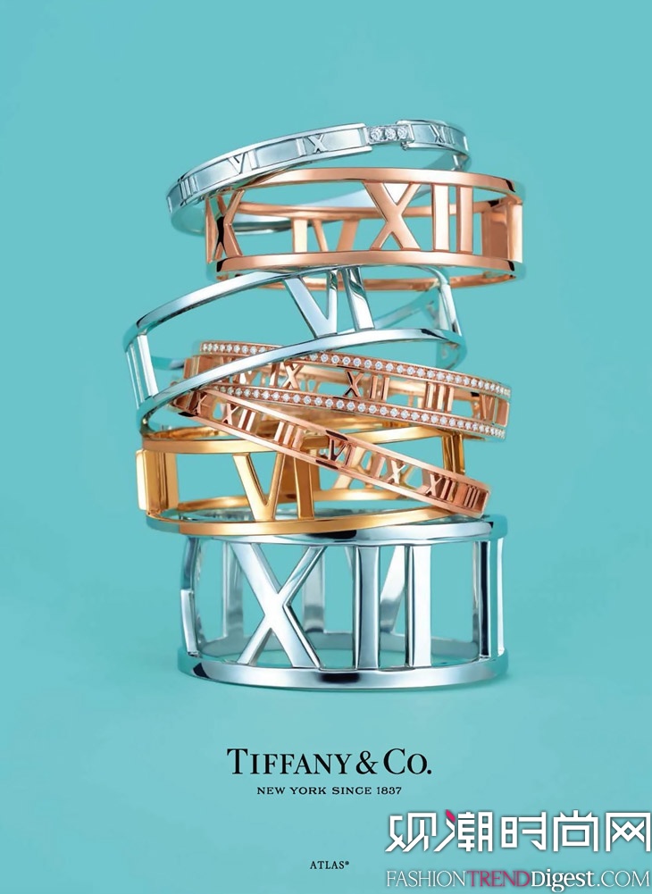 Daria Werbowy  Tiffany & Co 2014ĹͼƬ