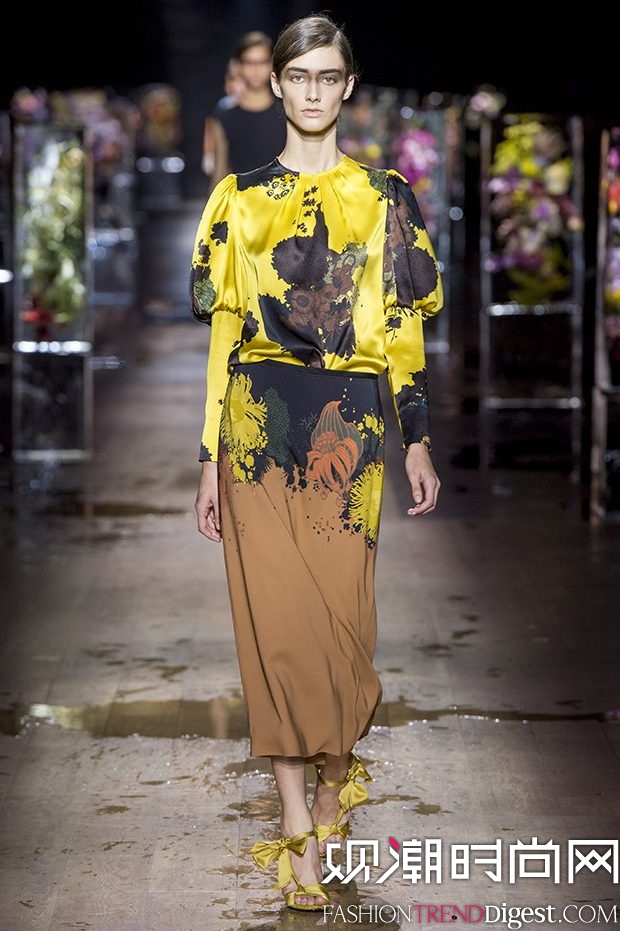 Dries Van Noten 2017ϵ㳡ͼƬ