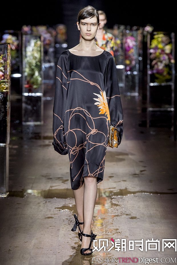 Dries Van Noten 2017ϵDƬ