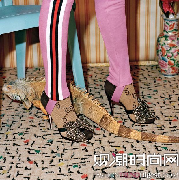 Gucci 2017ϵйƬͼƬ