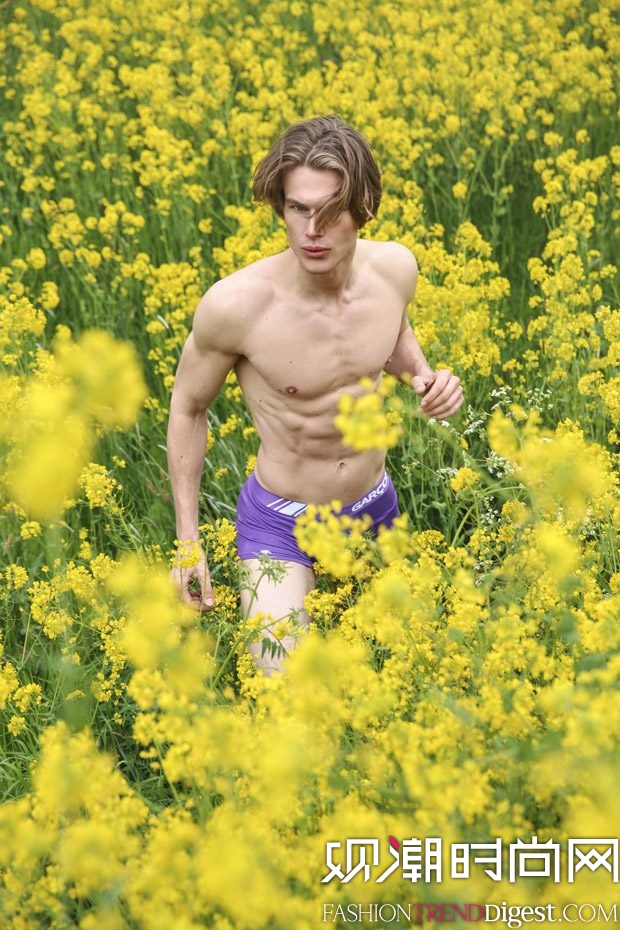 Arden[MMSCENE[2017s־LƬDƬ