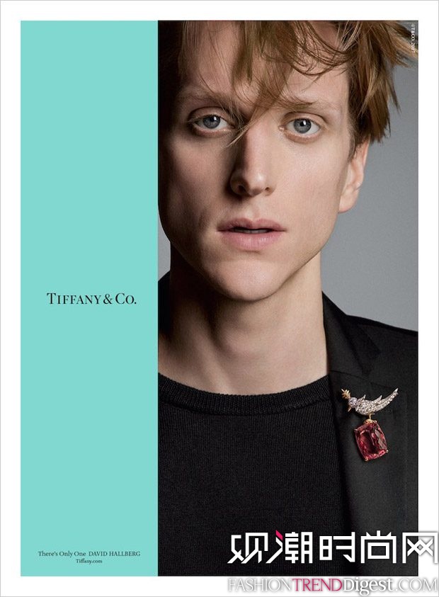 Tiffany & Co. 2017ﶬƬͼƬ