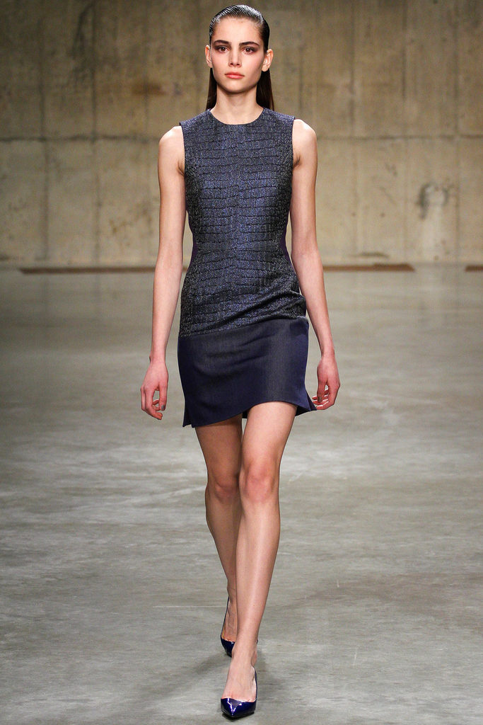 Richard Nicoll 2013ﶬŮװϵиͼƬ