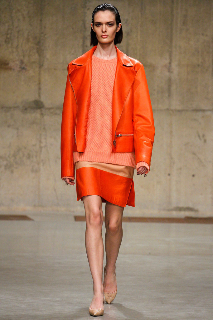 Richard Nicoll 2013ﶬŮװϵиͼƬ