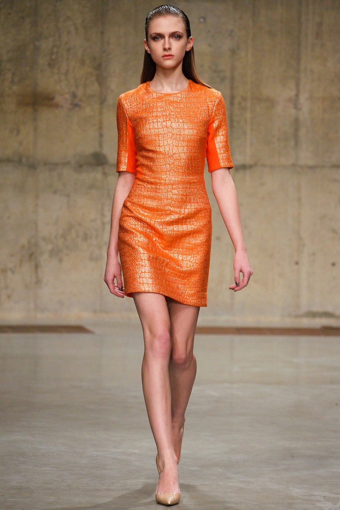 Richard Nicoll 2013ﶬŮװϵиͼƬ