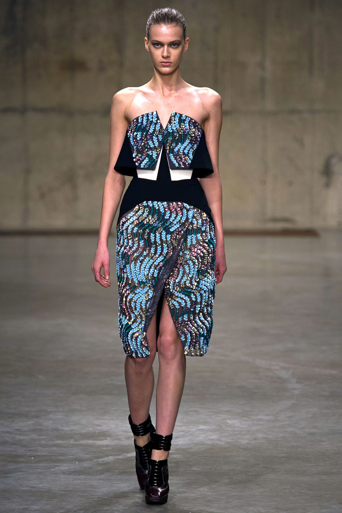 Peter Pilotto 2013ﶬŮװϵиͼƬ