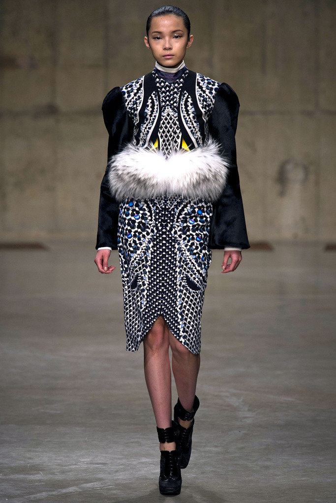 Peter Pilotto 2013ﶬŮװϵиͼƬ