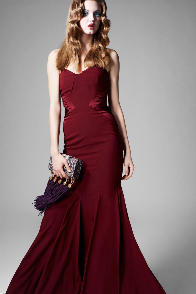 ZAC Zac Posen 2013ﶬϵиͼƬ