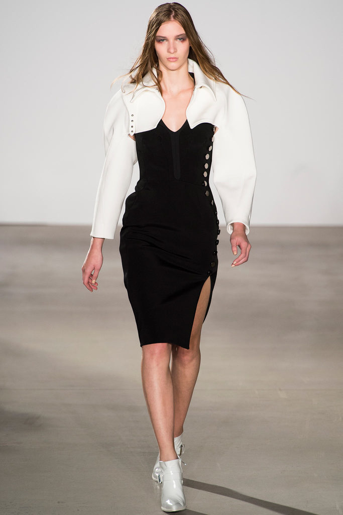 Altuzarra 2013ﶬŮװϵУŦԼʱװܣͼƬ