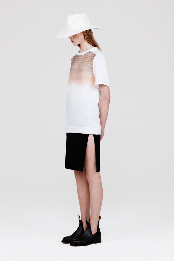 Dion Lee 2013ﶬŮװϵУʱװܣͼƬ