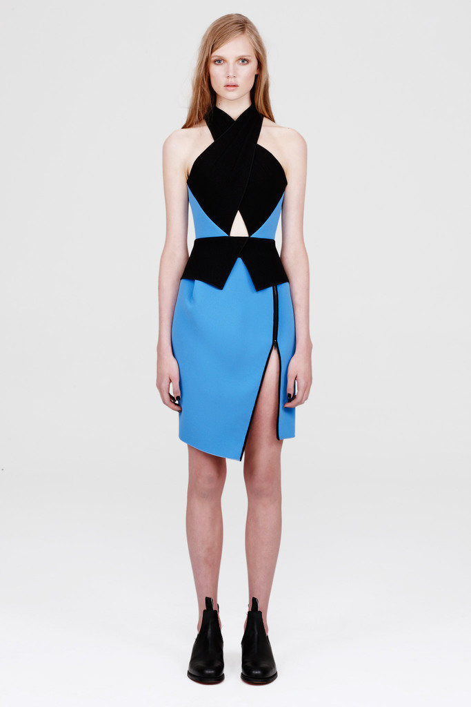 Dion Lee 2013ﶬŮװϵУʱװܣͼƬ