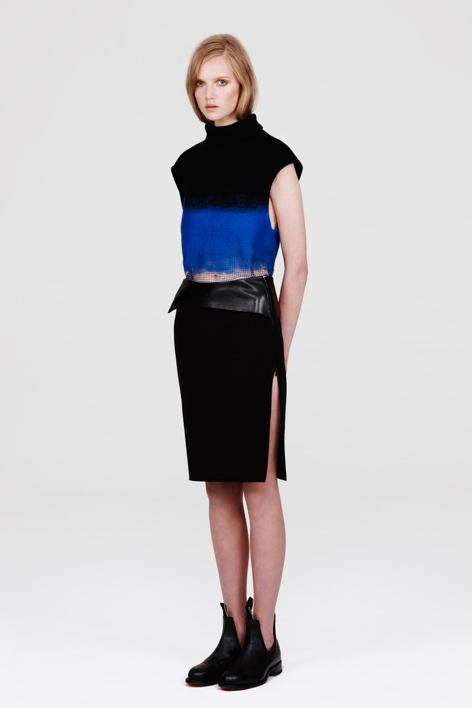 Dion Lee 2013ﶬŮװϵУʱװܣͼƬ