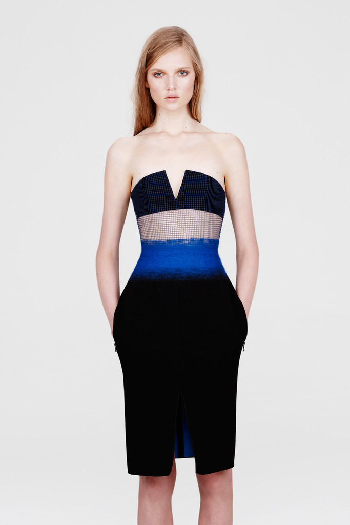 Dion Lee 2013ﶬŮװϵУʱװܣͼƬ