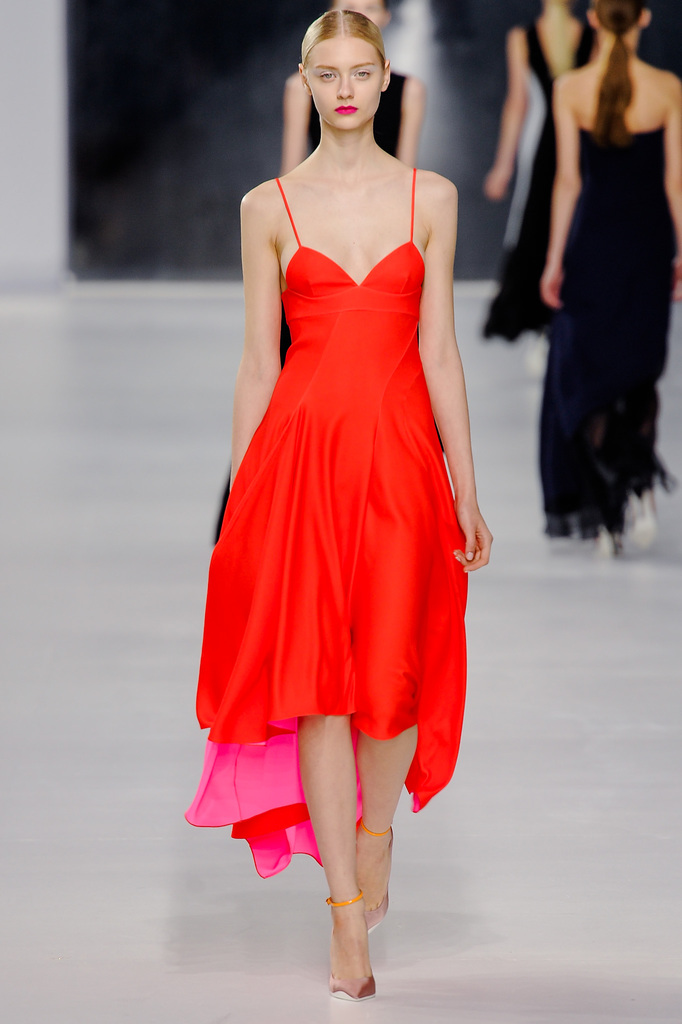 Christian Dior RESORT 2014����ͼƬ