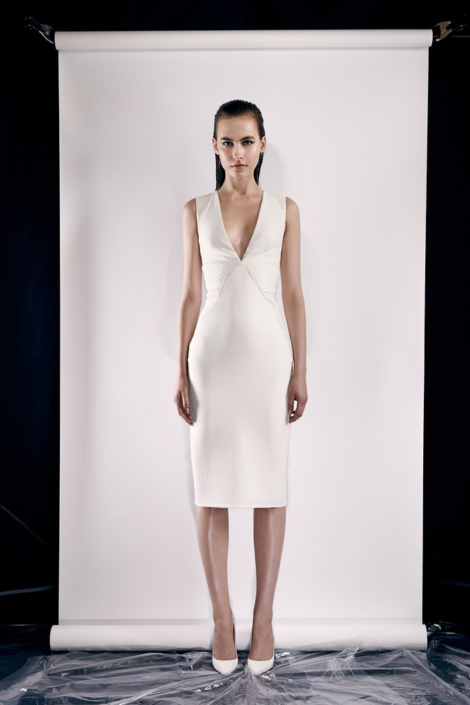 Cushnie Et Ochs RESORT 2014DƬ