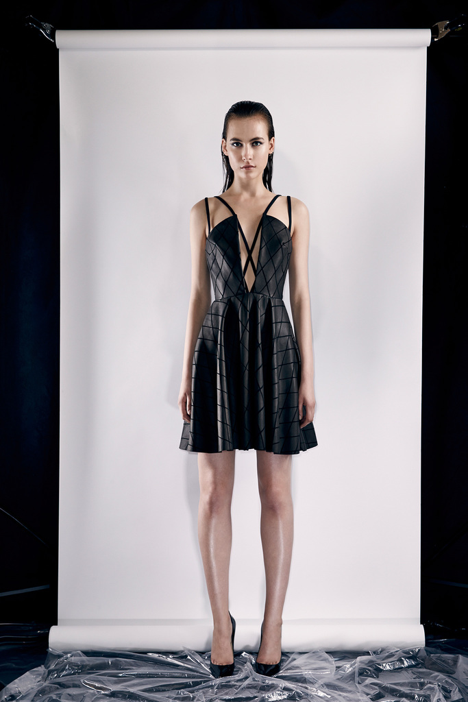 Cushnie Et Ochs RESORT 2014ͼƬ