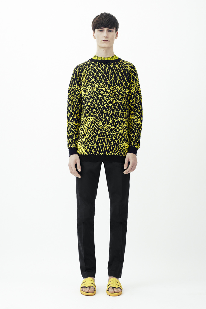 Christopher Kane 2014װ  ׶ظͼƬ