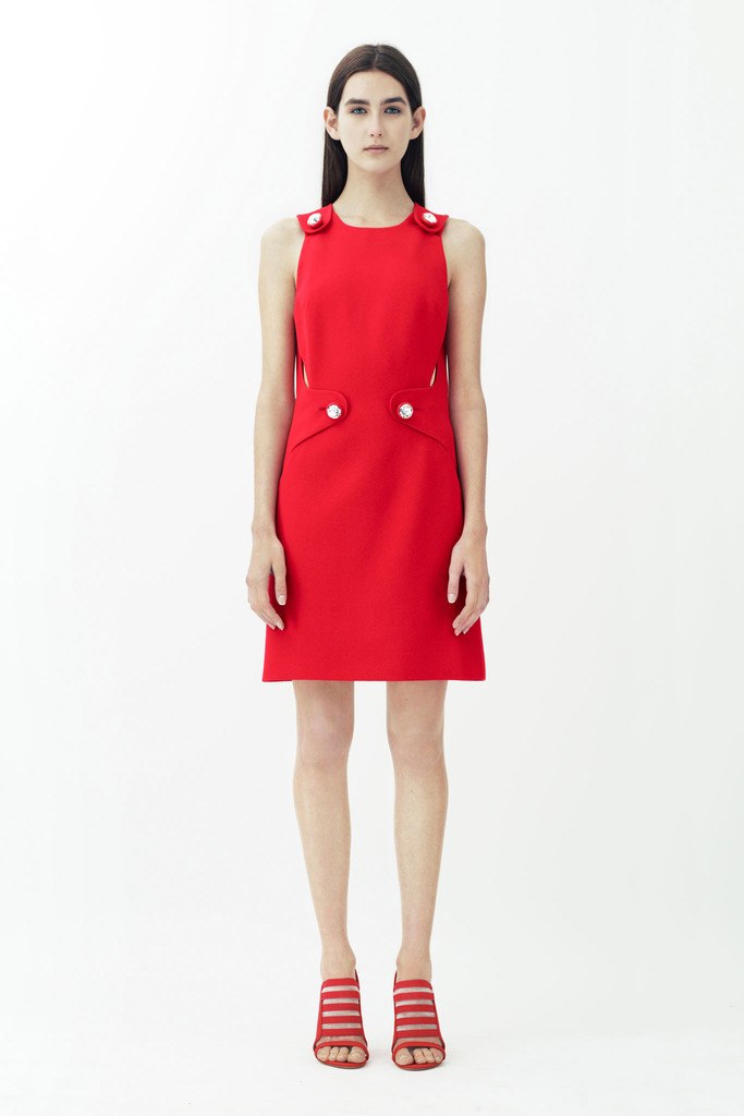 Christopher Kane RESORT 2014ͼƬ