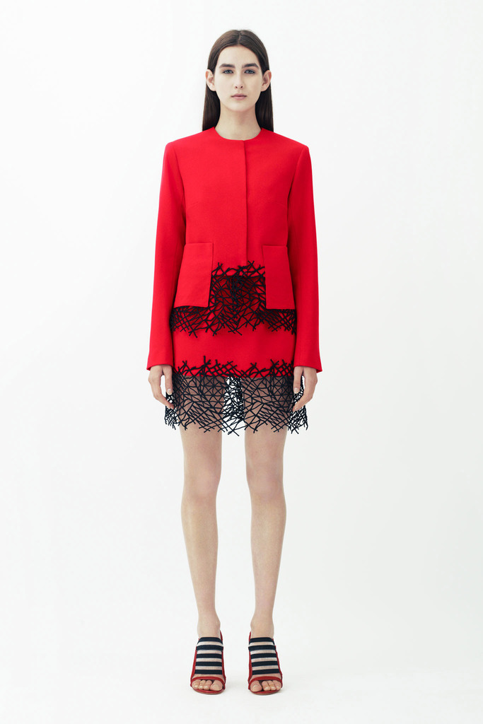 Christopher Kane RESORT 2014ͼƬ