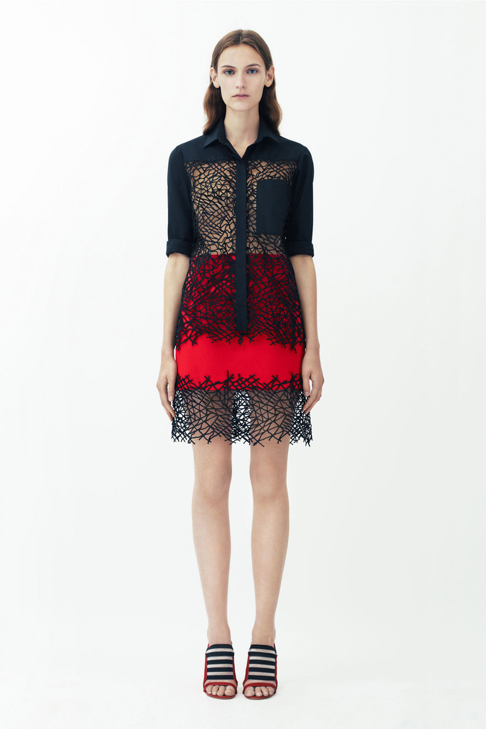 Christopher Kane RESORT 2014ͼƬ