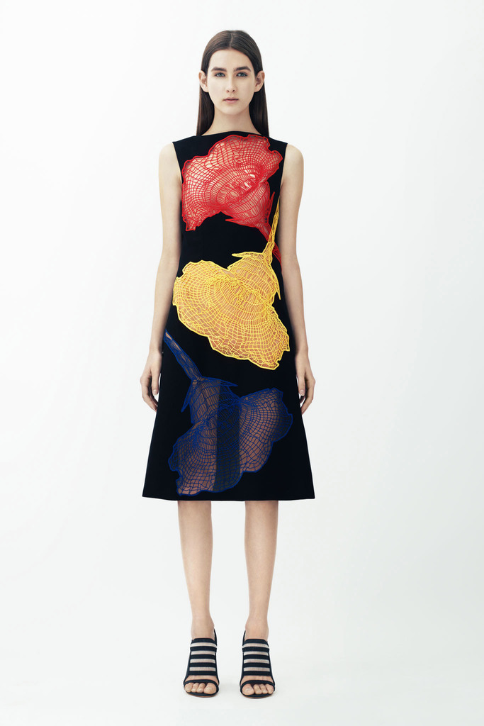 Christopher Kane RESORT 2014ͼƬ