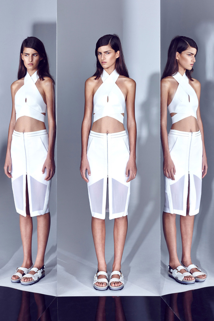 Dion Lee RESORT 2014ͼƬ