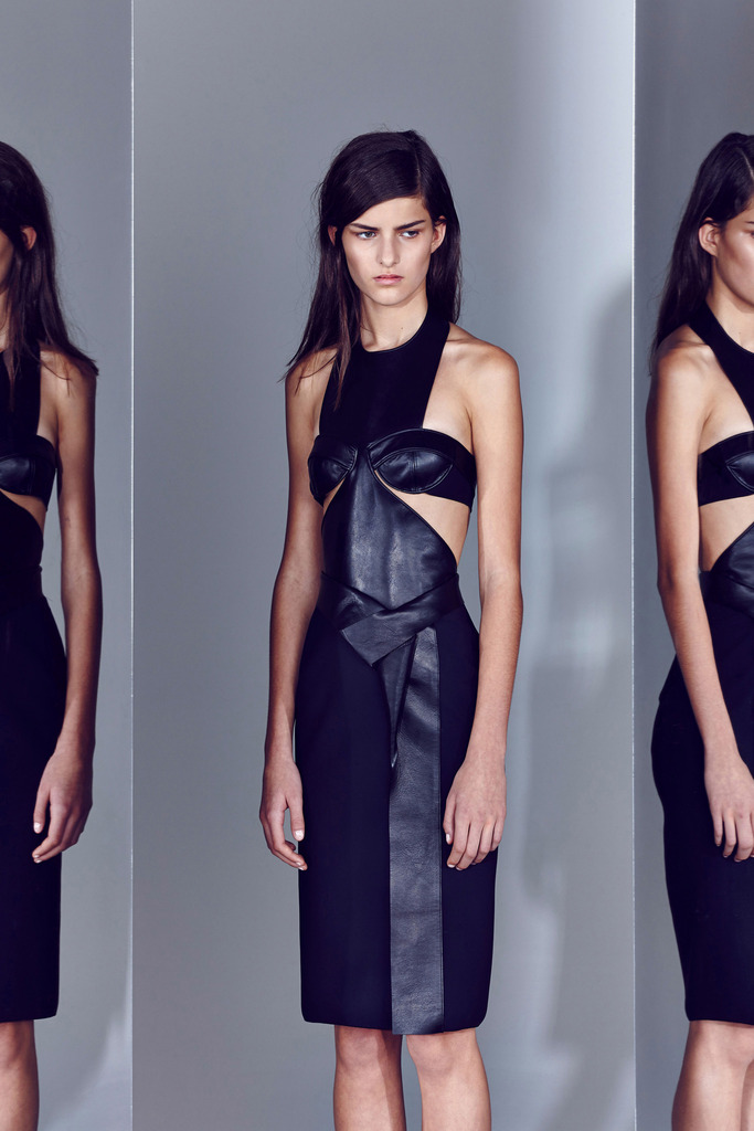 Dion Lee RESORT 2014ͼƬ