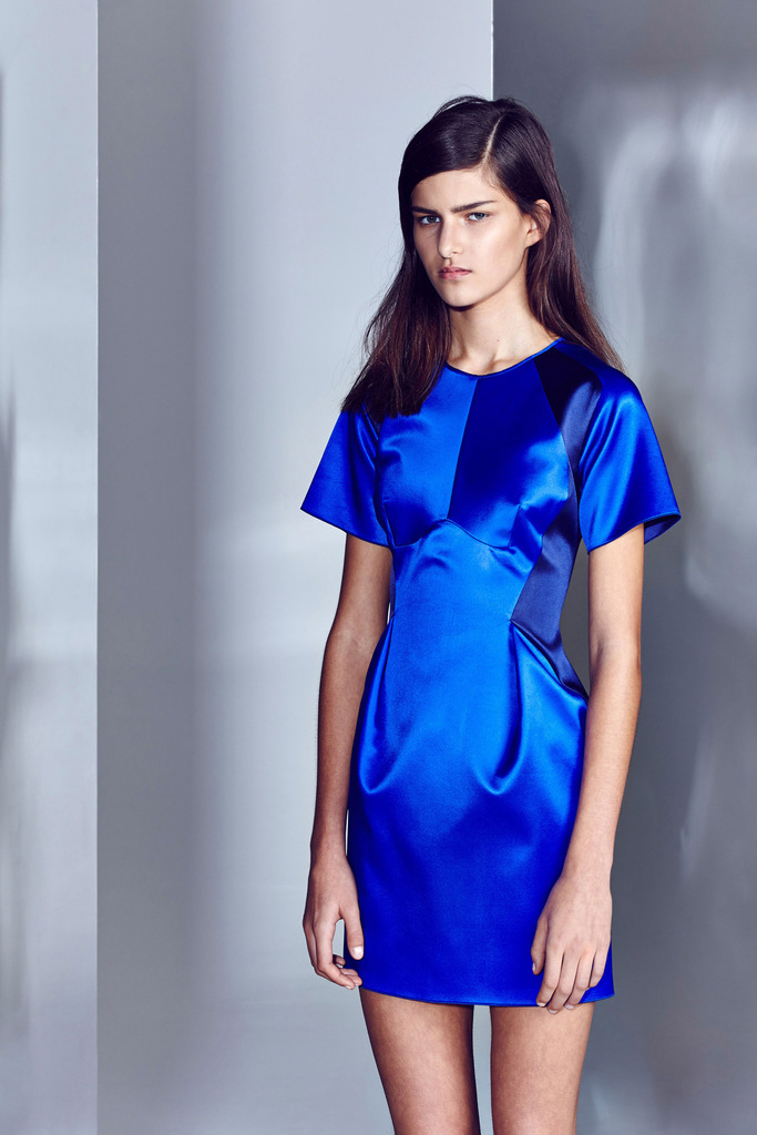 Dion Lee RESORT 2014ͼƬ