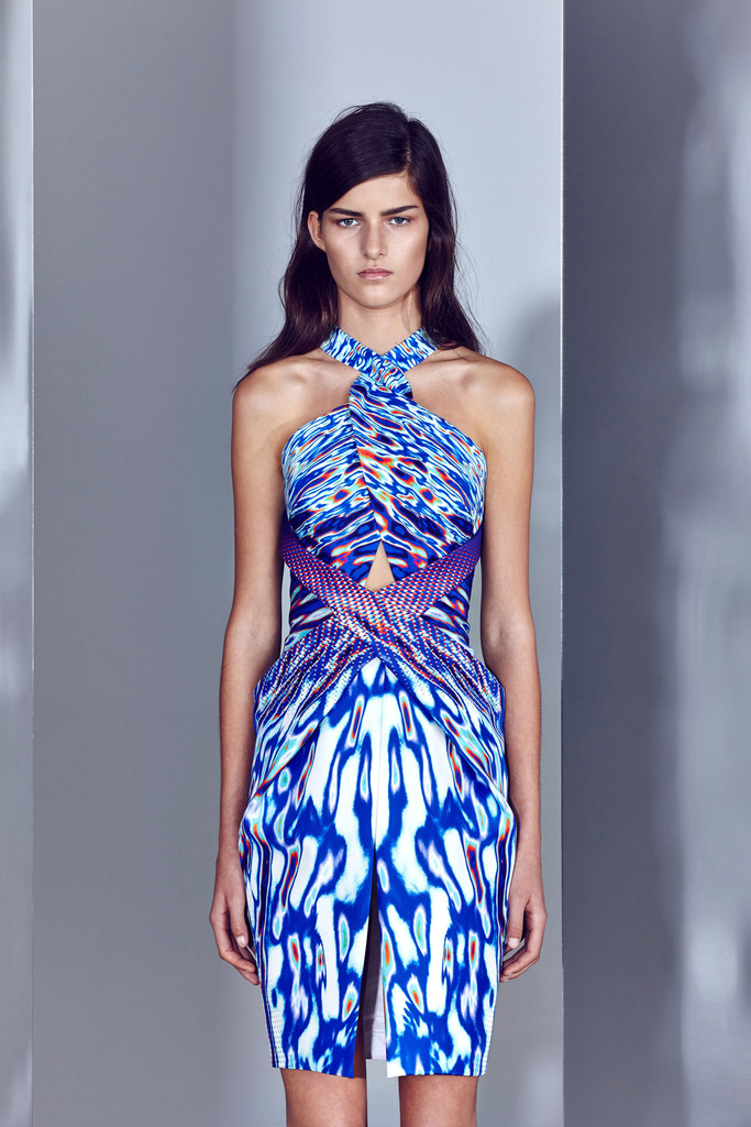 Dion Lee RESORT 2014ͼƬ