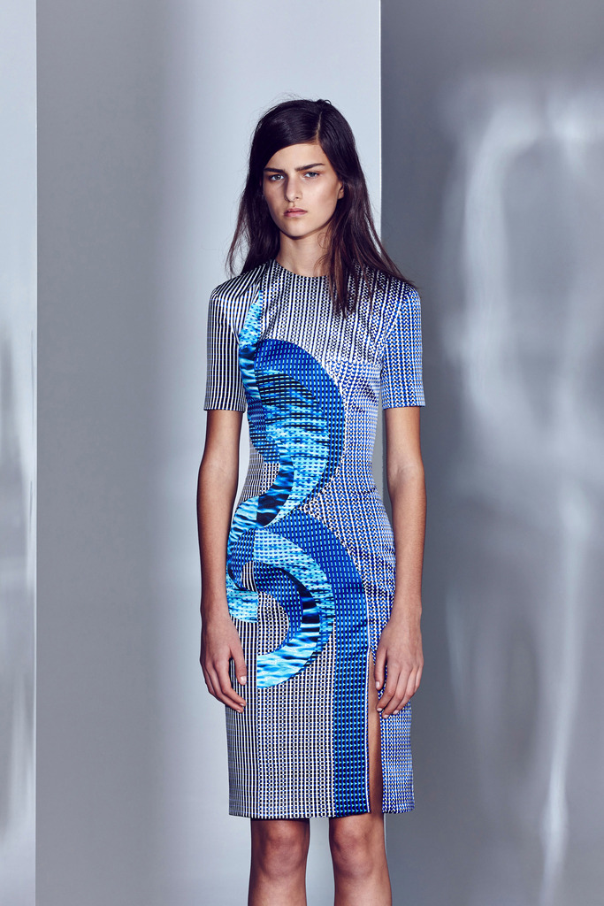 Dion Lee RESORT 2014ͼƬ