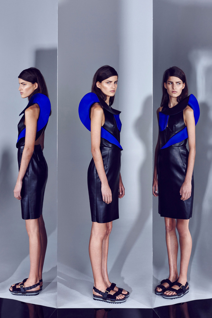 Dion Lee RESORT 2014ͼƬ