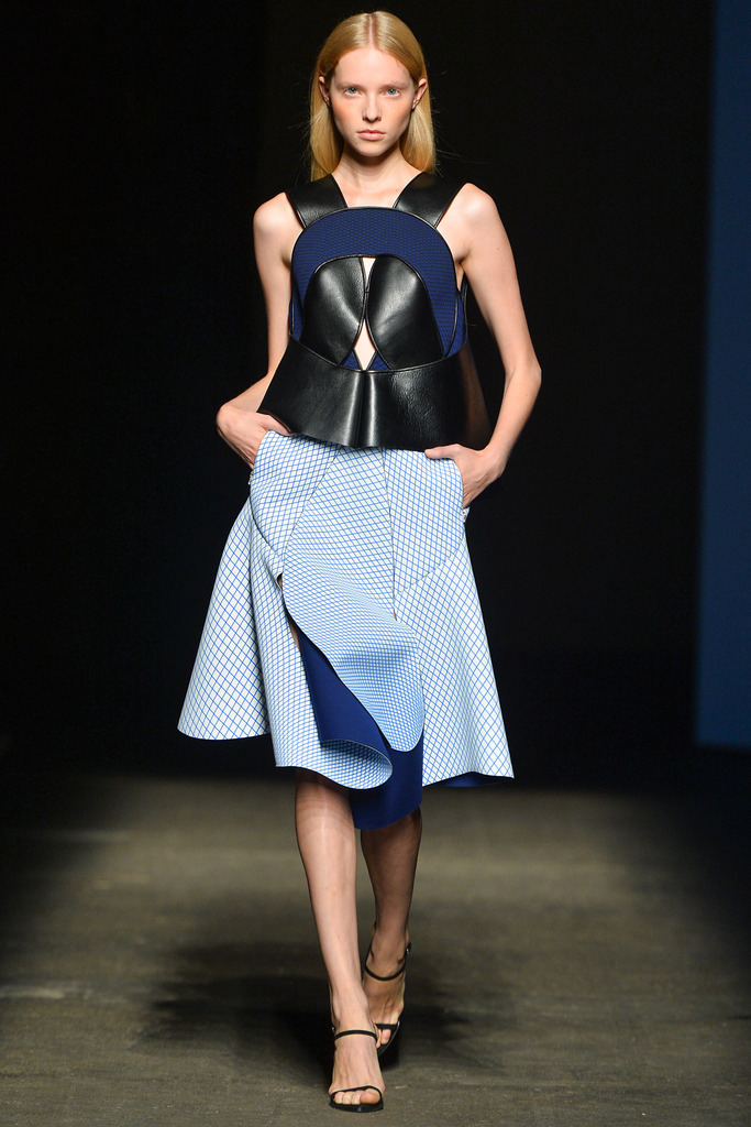 Dion Lee 2014ŦԼʱװܸͼƬ