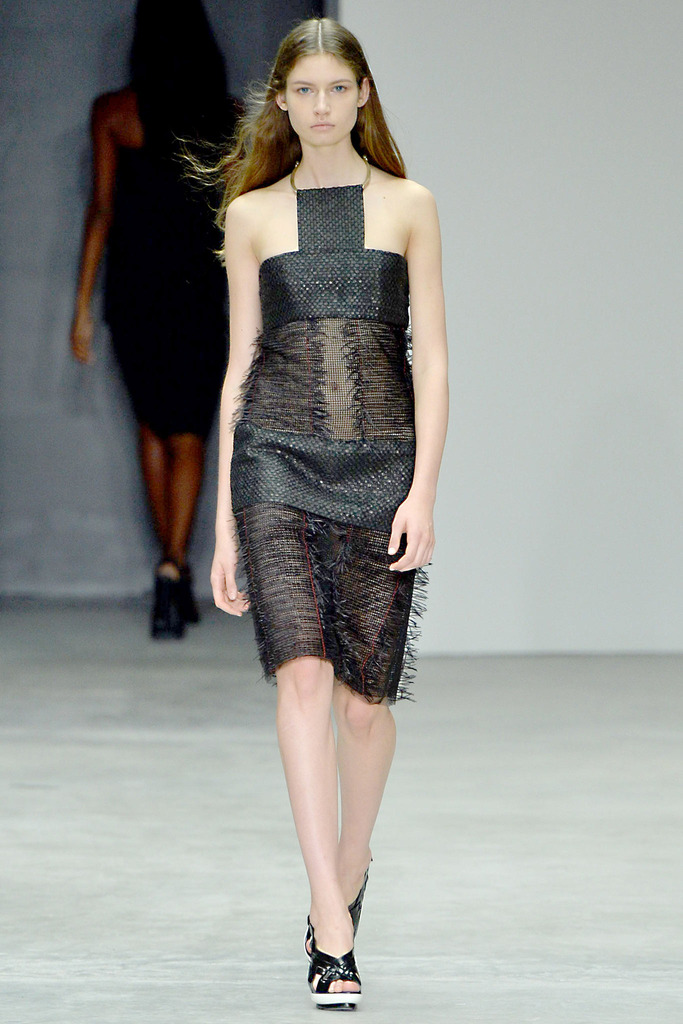 Calvin Klein Collection 2014~sĕrbܸDƬ