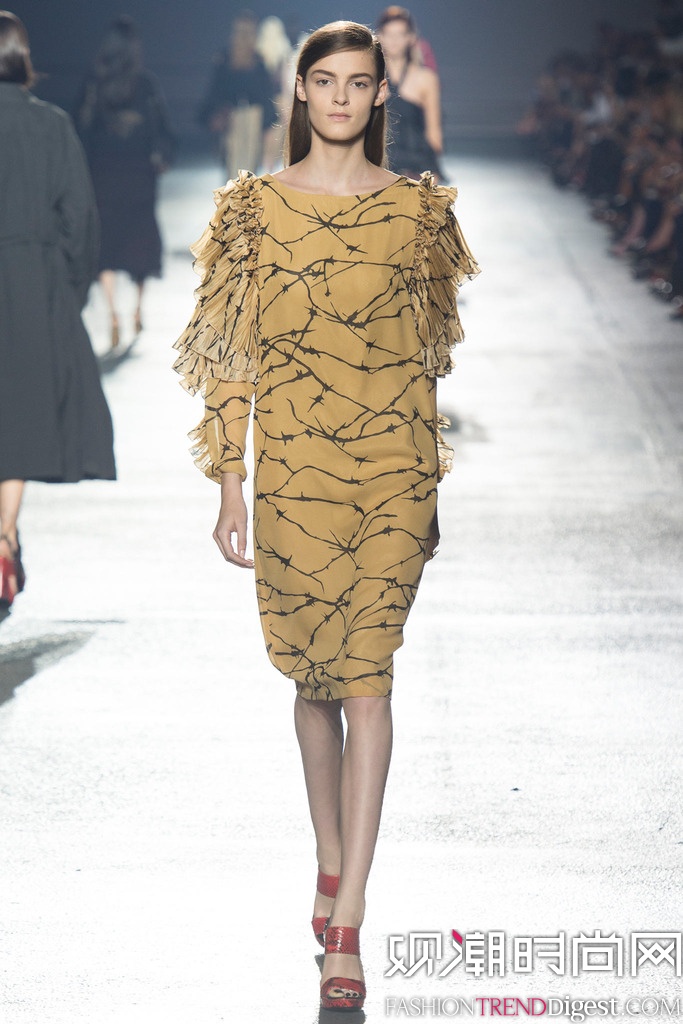 Dries Van Noten  2014贺ʱװܸͼƬ