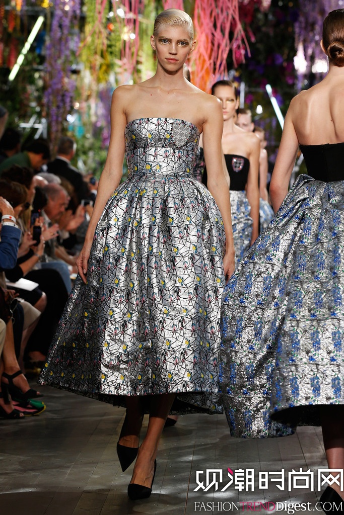 Christian Dior   2014贺ʱװܸͼƬ