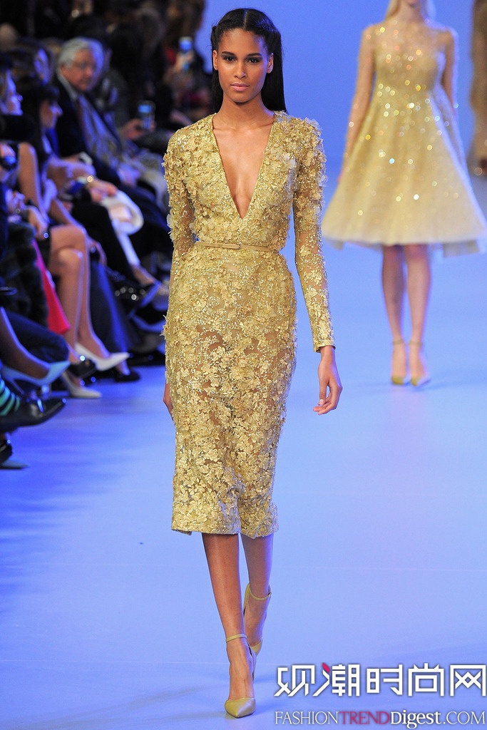 Elie Saab 2014 İ߶㳡ͼƬ