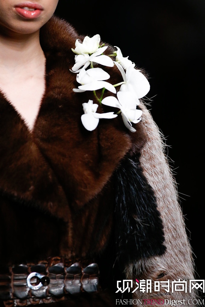 Fendi 2014ﶬʱװܸͼƬ