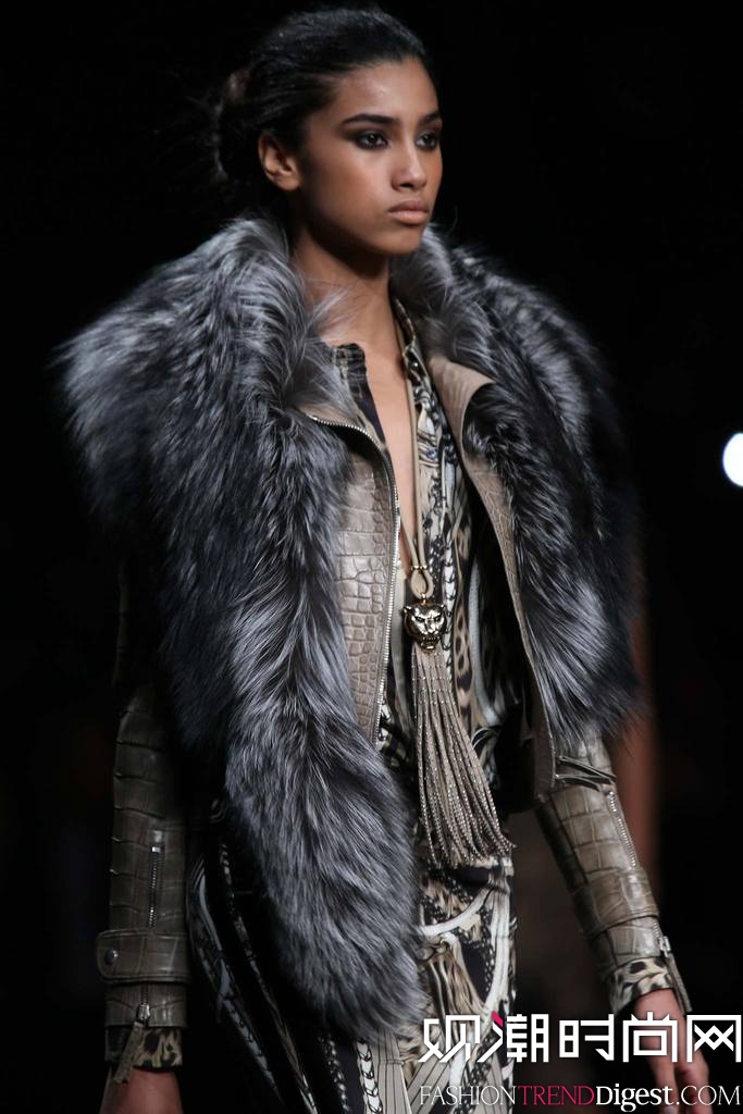 Roberto Cavalli 2014ﶬʱװŮװ㳡ͼƬ